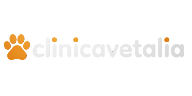 Fondo transparente para tu diseño (200 x 100 px) (1)