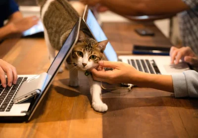 PetFriendlyWorkplace3.webp